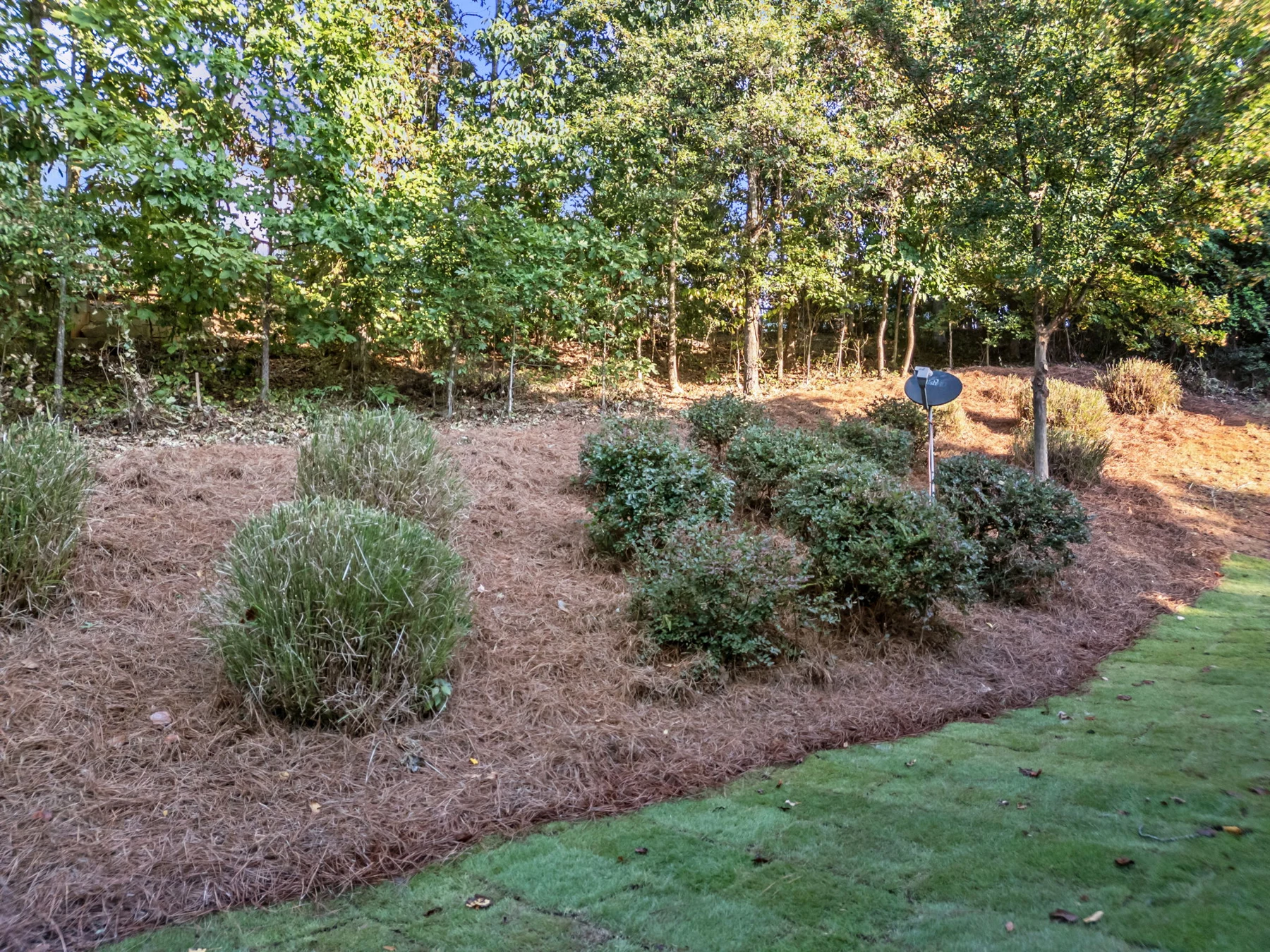 Backyard landscaping at 5265 Winflow Way